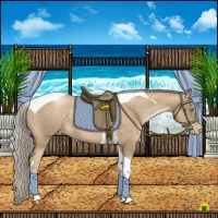 Horse Color:Chocolate Palomino Pearl Tobiano 