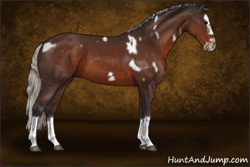 Horse Color:White Spotted Silver Brown Splash Frame
