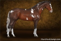 Horse Color:White Spotted Silver Brown Splash Frame 