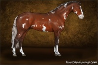 Horse Color:White Spotted Silver Brown Splash 
