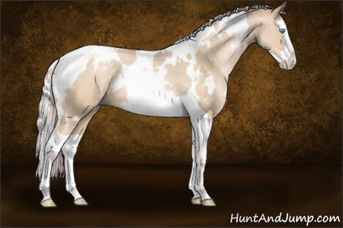 Horse Color:White Spotted Silver Buckskin Pearl Dun Splash Tobiano 