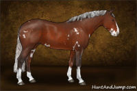 Horse Color:White Spotted Silver Brown Splash 