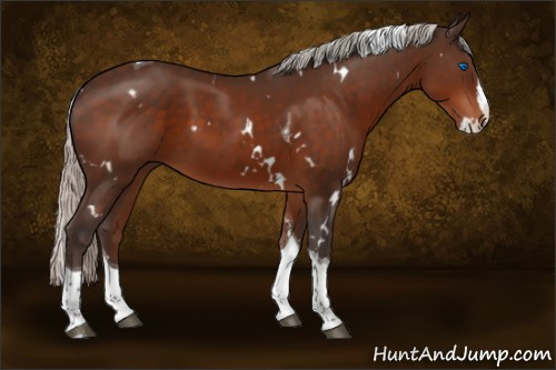 Horse Color:White Spotted Silver Brown Splash Tobiano