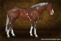 Horse Color:White Spotted Silver Brown Splash Tobiano 