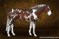 Horse Color:White Spotted Silver Brown Splash 