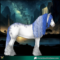 Horse Color:Watercolor Brown Ice Sabino Splash Frame 