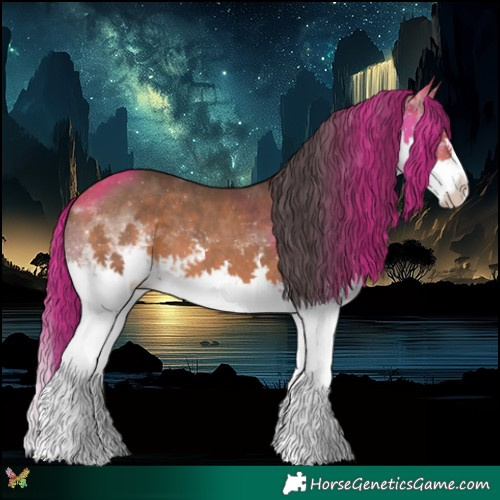 Horse Color:White Spotted Bay Splash 
