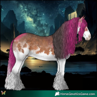 Horse Color:White Spotted Bay Splash 