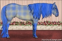 Horse Color:Watercolor Plaid  Bay 