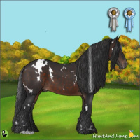 Horse Color:White Spotted Brown 