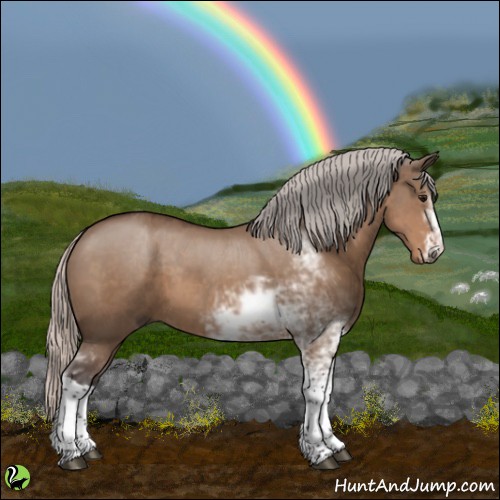 Horse Color:Silver Brown Dun Sabino 