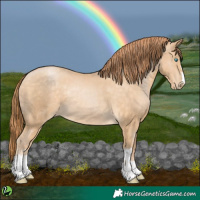 Horse Color:Buckskin Pearl 