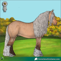 Horse Color:Silver Brown Dun Tobiano 