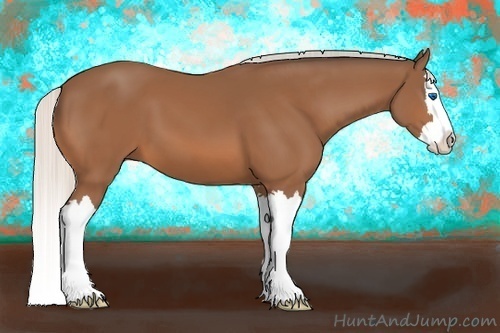 Horse Color:Silver Bay Sabino Splash 
