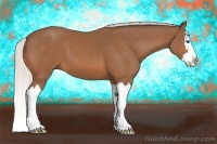 Horse Color:Silver Bay Sabino Splash