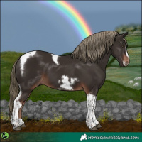 Horse Color:Liver Chestnut Tobiano Frame 