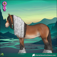 Horse Color:Bay Tobiano