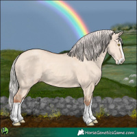 Horse Color:Silver Classic Champagne Dun Splash 