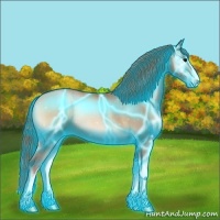 Horse Color:Thunderstruck Blue Onyx Pearl Sabino 