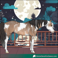 Horse Color:Brown Dun Sabino Rabicano 