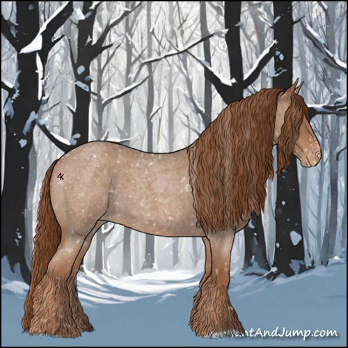 Horse Color:Red Roan Appaloosa 