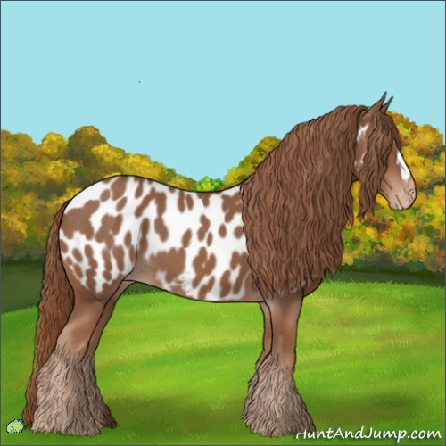 Horse Color:Chestnut Near Leopard