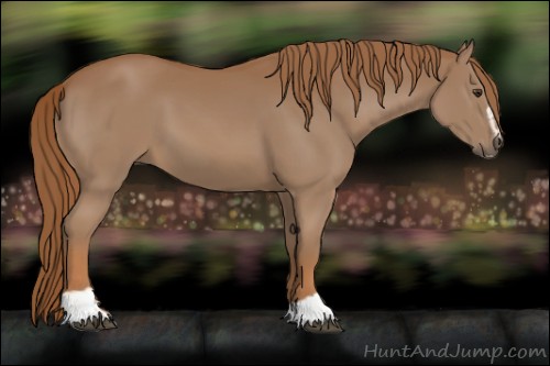Horse Color:Chestnut Sabino 