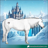 Horse Color:Perlino Ice Tobiano Near Leopard 