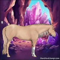 Horse Color:Gold Champagne 