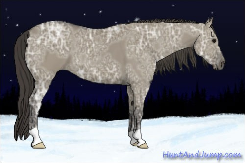 Horse Color:Smoky Grullo Ice 