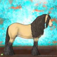 Horse Color:Buckskin 