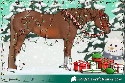 Horse Color:White Spotted Chestnut 