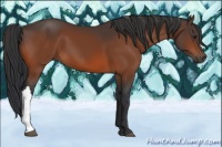 Horse Color:Brown 