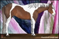 Horse Color:Liver Chestnut Sabino Splash Tobiano 