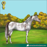 Horse Color:Platinum White Spotted Chocolate Brown Dun 