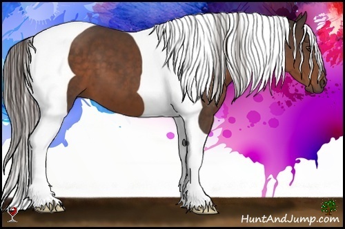 Horse Color:Liver Chestnut Tobiano 