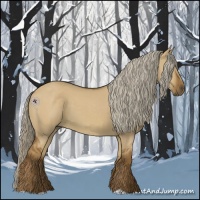 Horse Color:Chocolate Palomino Dun