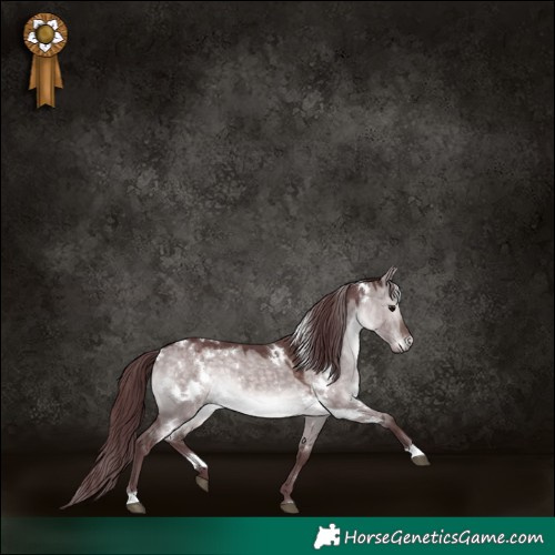 Horse Color:Platinum White Spotted Chocolate Brown Dun 