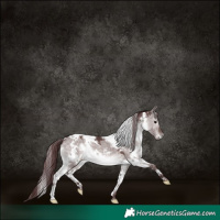 Horse Color:Platinum White Spotted Chocolate Brown Dun 
