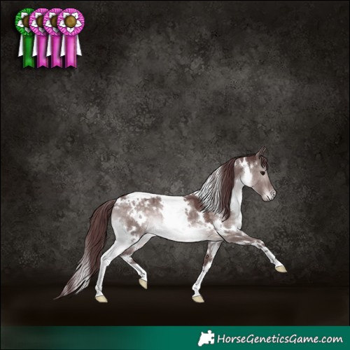Horse Color:Platinum White Spotted Chocolate Brown Dun 