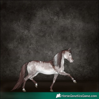 Horse Color:Platinum White Spotted Chocolate Brown Dun 