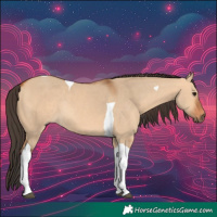 Horse Color:Bay Dun Tobiano Rabicano 