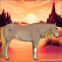 Horse Color:Painted Watercolor Palomino