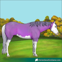 Horse Color:Watercolor Bay Splash 