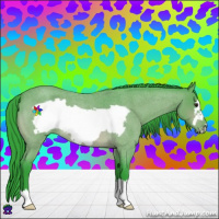 Horse Color:Watercolor Bay Roan Frame 