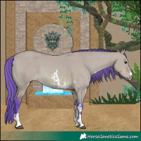 Horse Color:Watercolor Bay Dun Sabino 