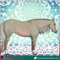 Horse Color:Watercolor Red Dun 