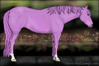 Horse Color:Watercolor Chestnut 