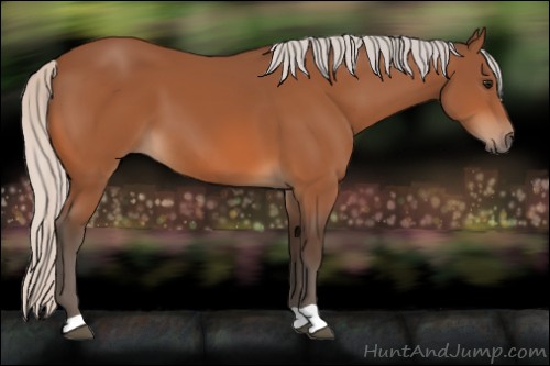 Horse Color:Silver Bay 