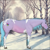 Horse Color:Watercolor Bay Dun Tobiano 